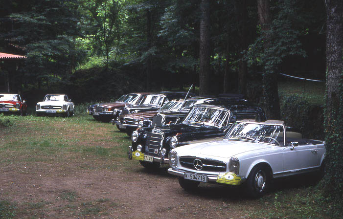  covering a nice group of classic Mercedes cars with 3 Pagodas 